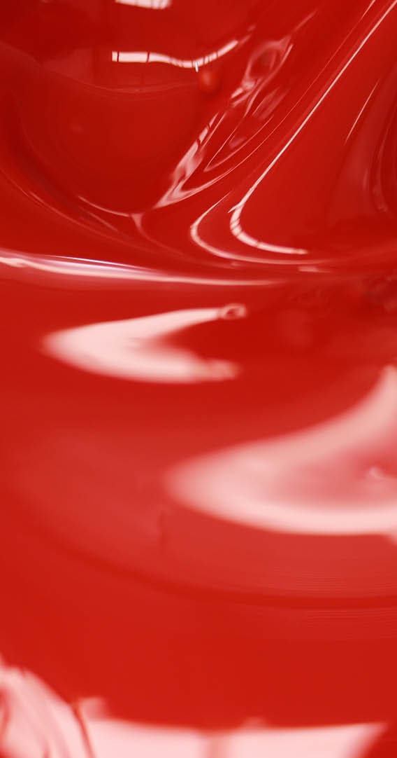 production of general industrial paints or wood paints