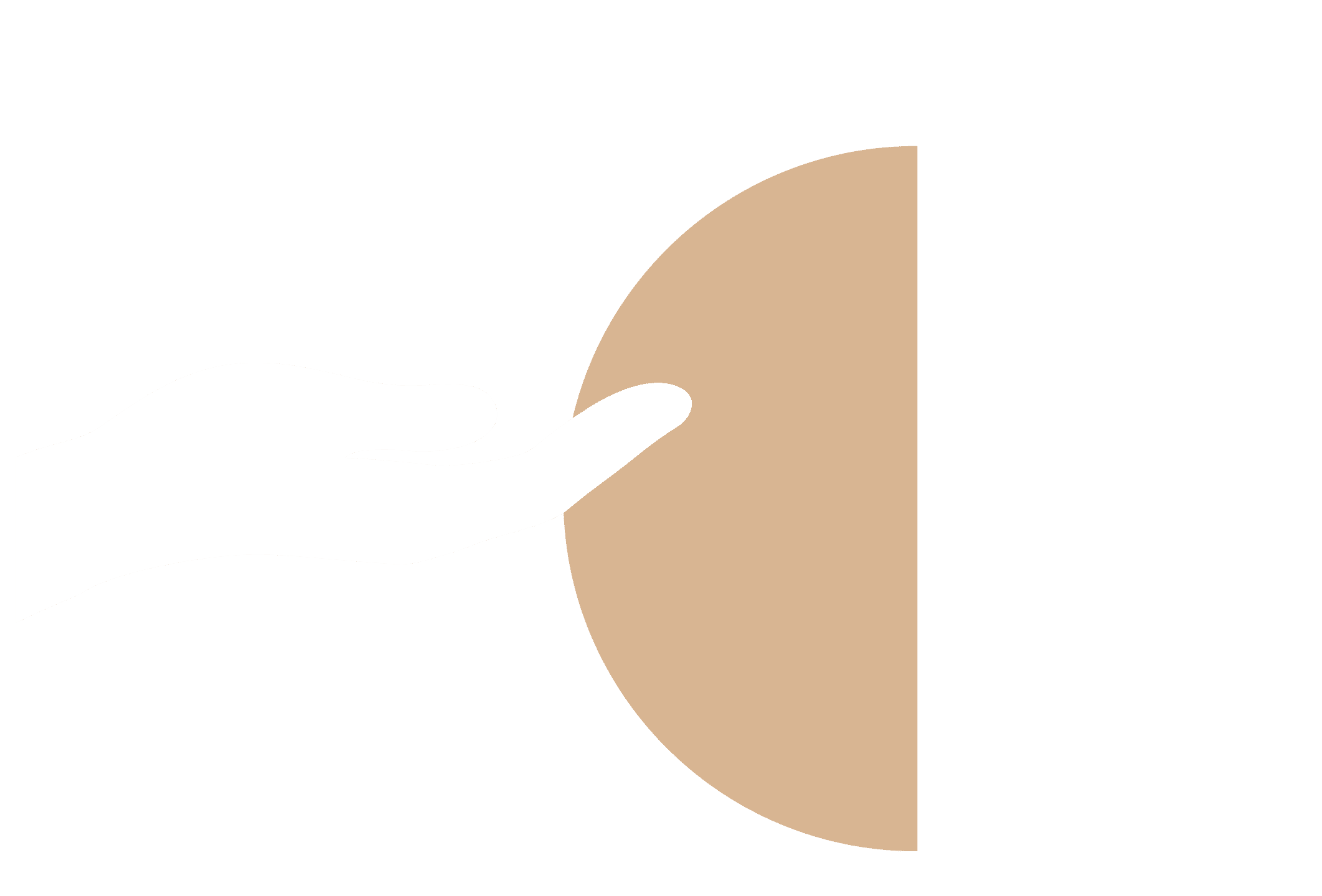 Polygon